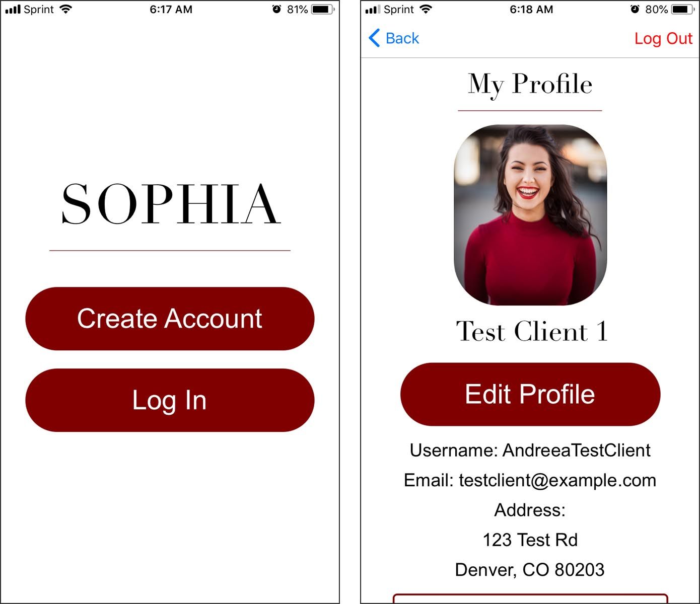 Screen view of the SOPHIA application login page.