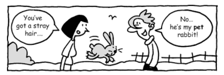 Cartoon. A bunny is hopping around. Person 1 says "You've got a stray hair" and Person 2, who has very messy hair says "No... he's my pet rabbit!"